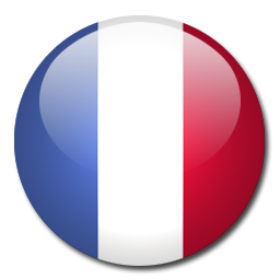 Google Traduction en français Google Traduction en français