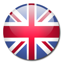 Google Translation into English Google Translation into English